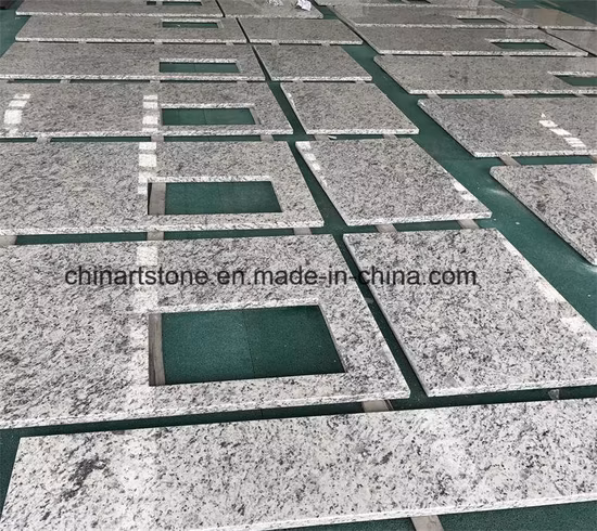 High Quality Santa Cecilia Light Granite Countertops & Vanity Tops