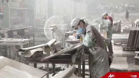 High Quality Santa Cecilia Light Granite Countertops & Vanity Tops